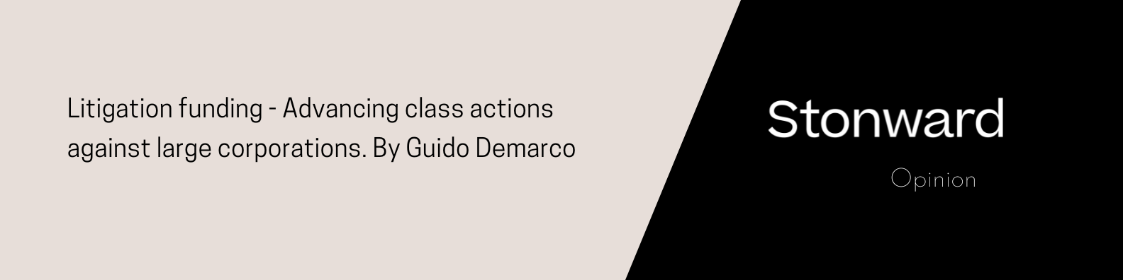 Litigation funding - Advancing class actions against large corporations